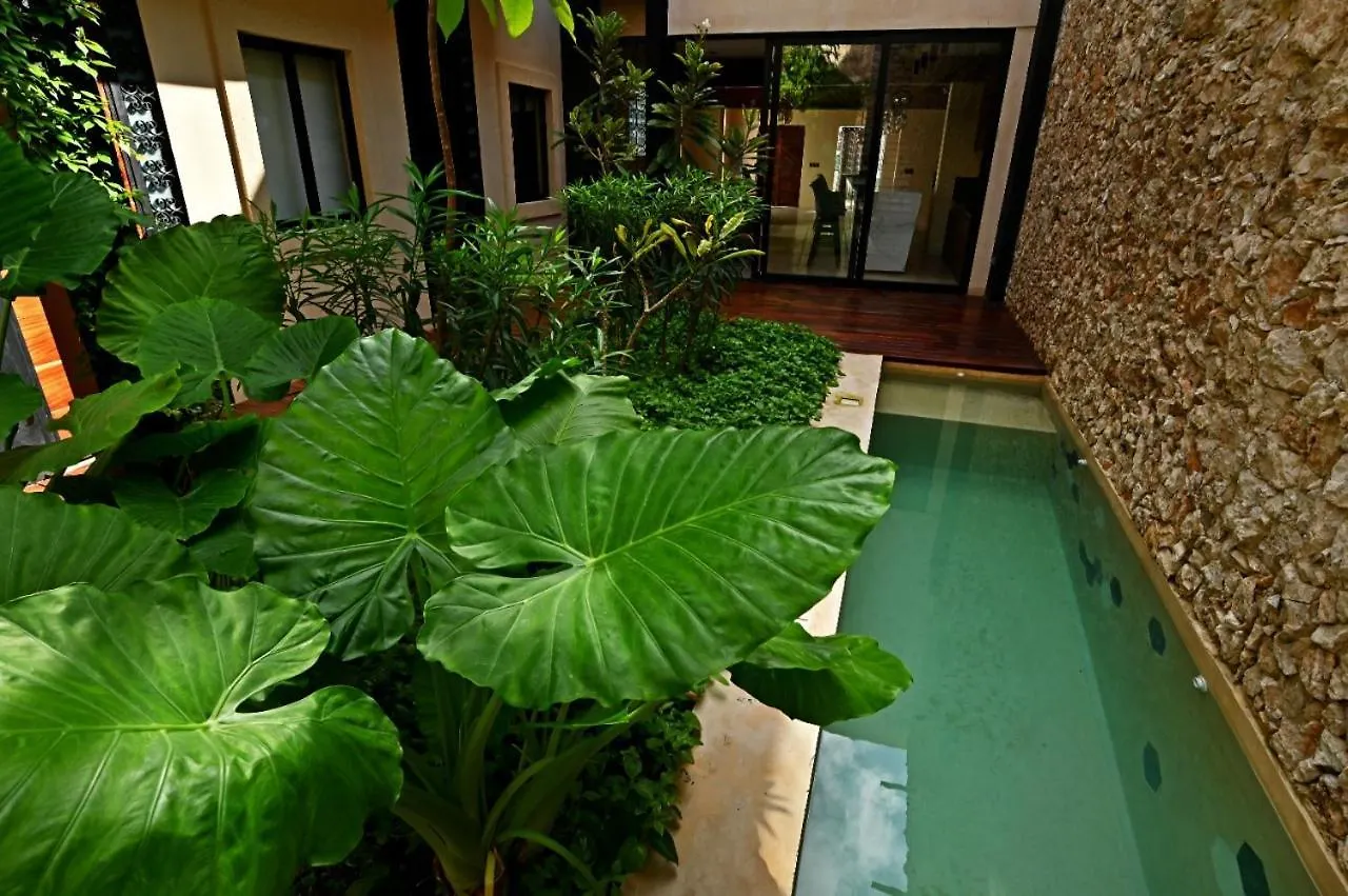Casa Boutique Pasha Bed & Breakfast Merida