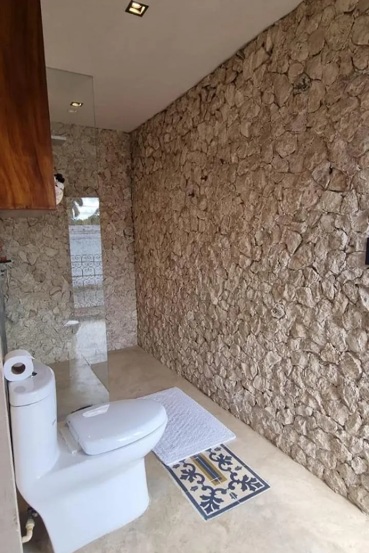 Casa Boutique Pasha Bed & Breakfast Merida
