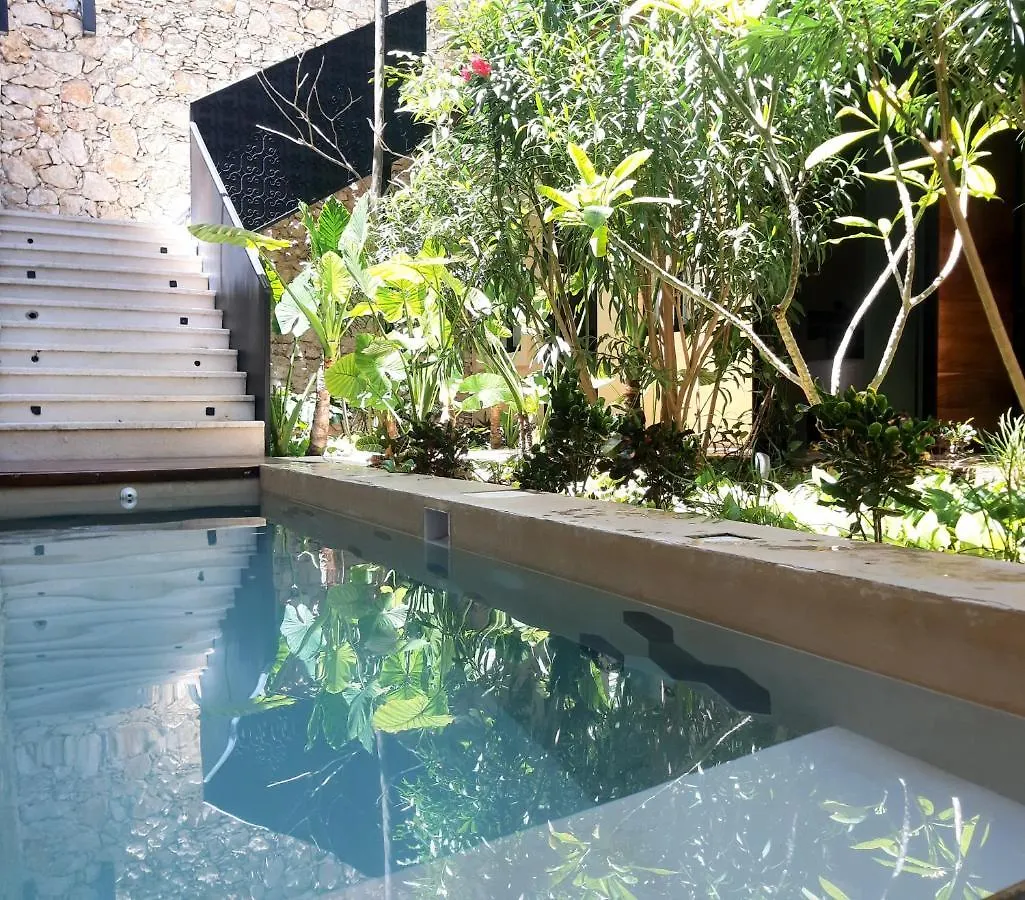 Casa Boutique Pasha Bed & Breakfast Merida